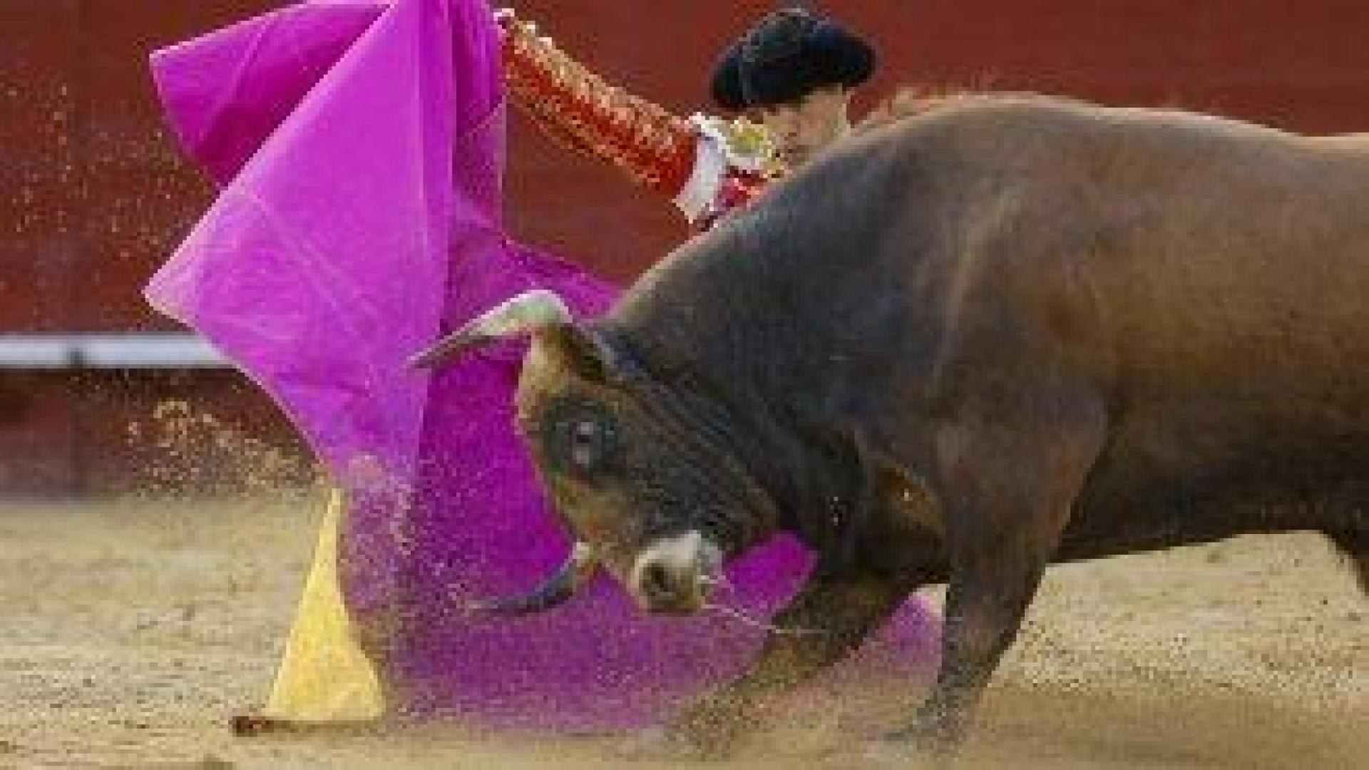 Мексико прие закон за бикоборство без насилие