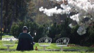 Пролетта идва със слънце и температури до 14 градуса