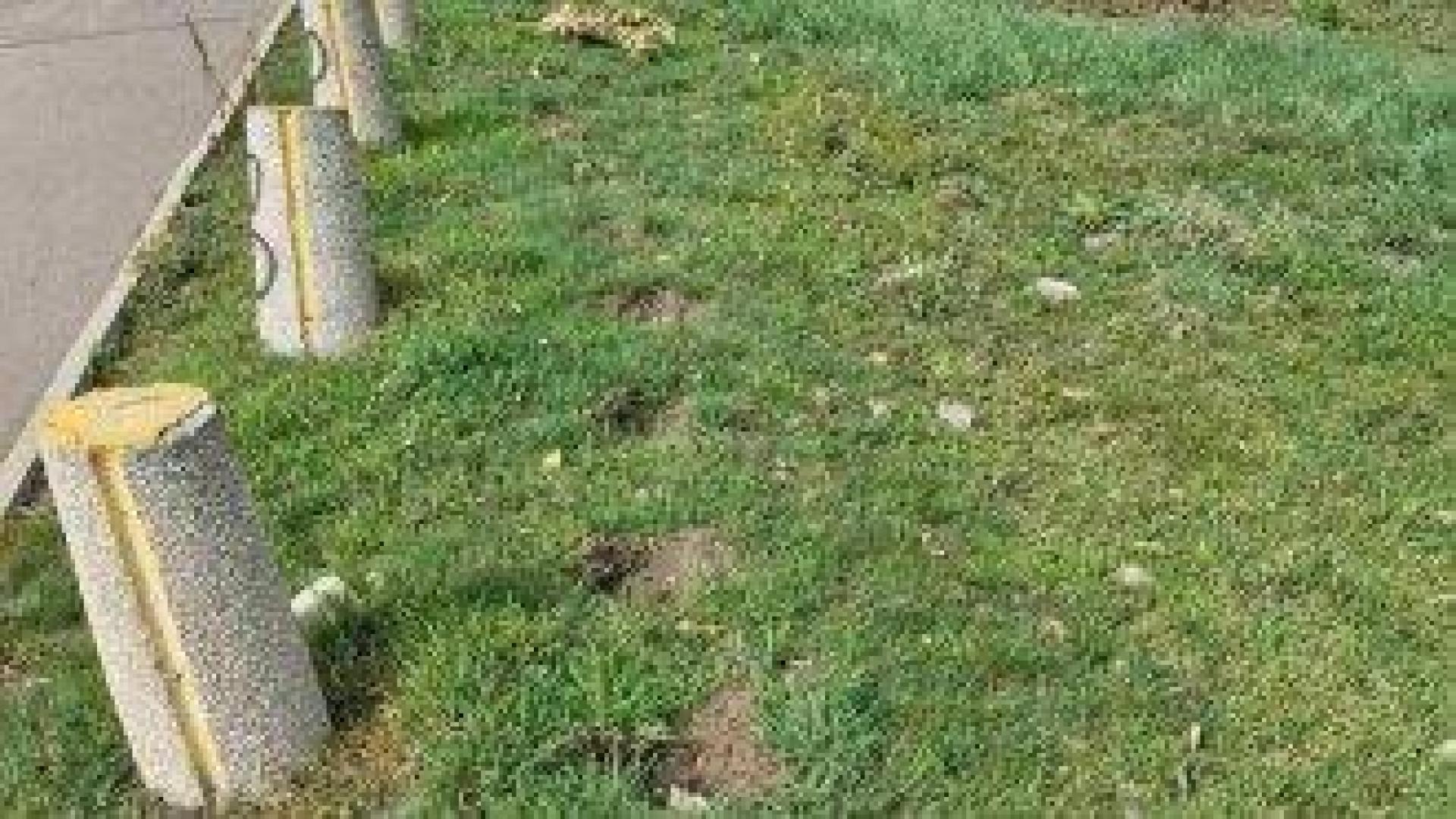 Мъж си взе за вилата 60 фиданки от бул. "Цариградско шосе"