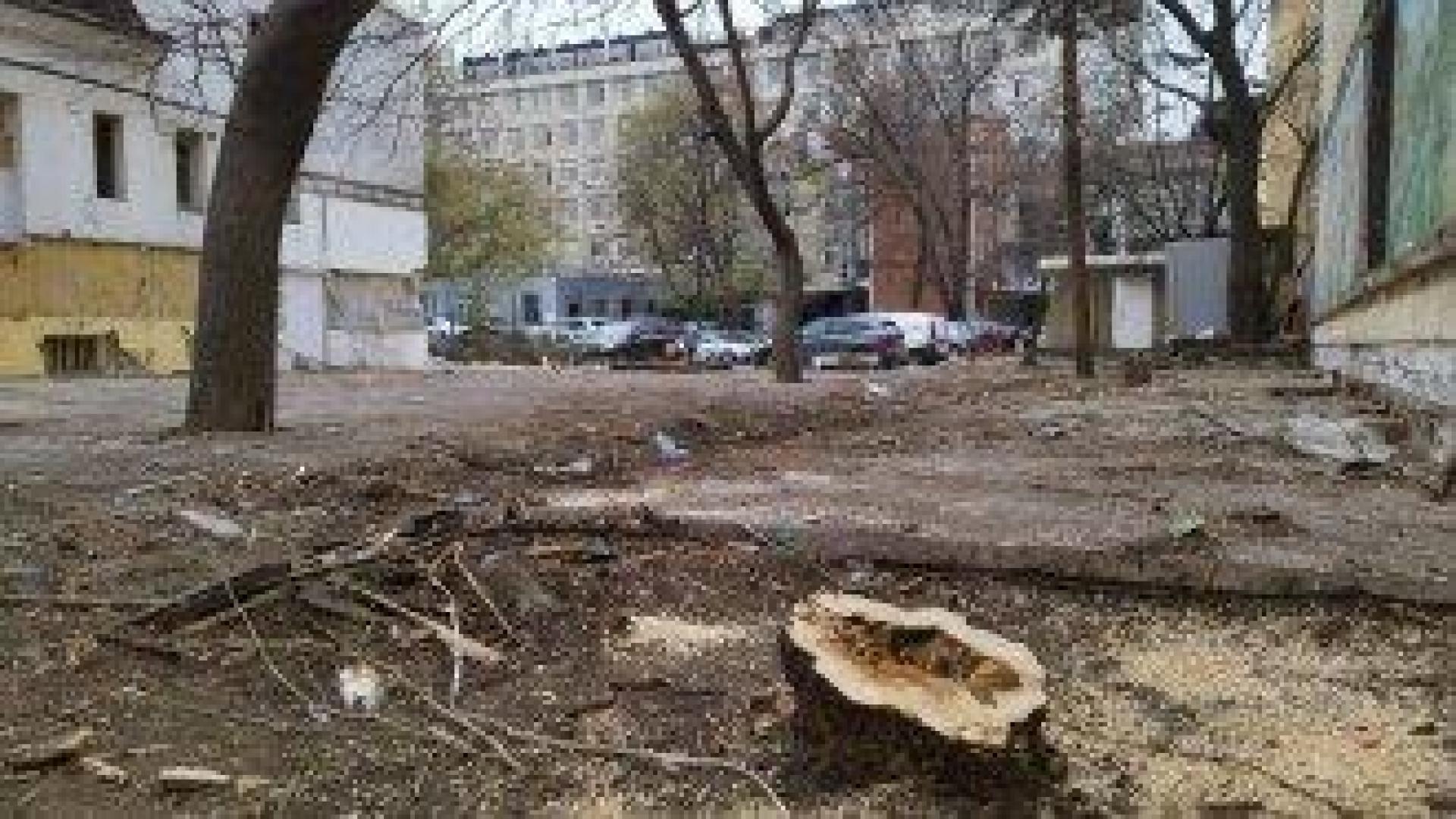 Дворът на ресторанта "Синият лъв" в центъра на София е разчистен