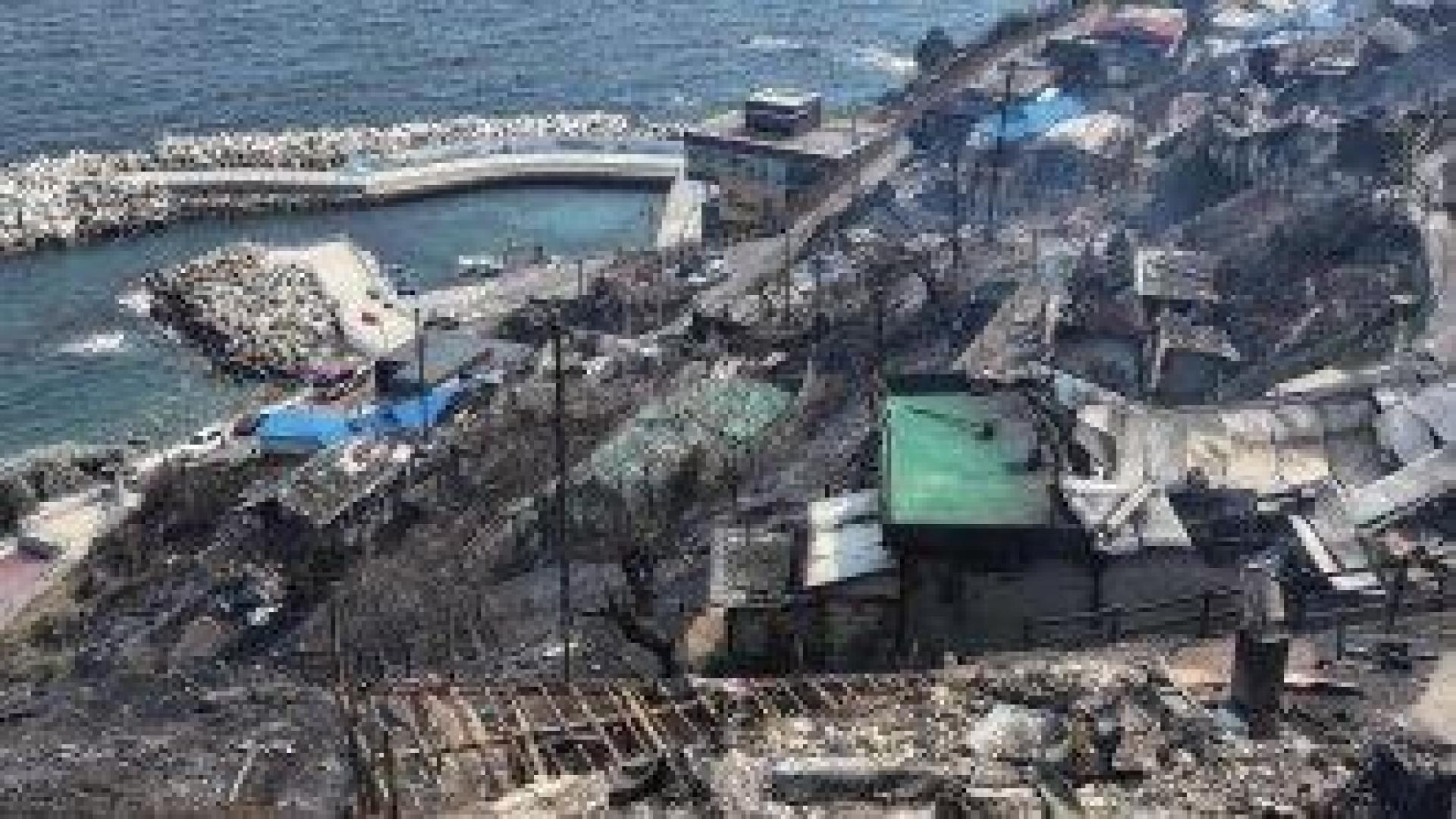 Жертвите на горските пожари в Южна Корея достигнаха 24