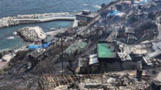 Жертвите на горските пожари в Южна Корея достигнаха 24