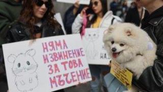 Стотици протестираха срещу насилието над животни в редица градове на страната