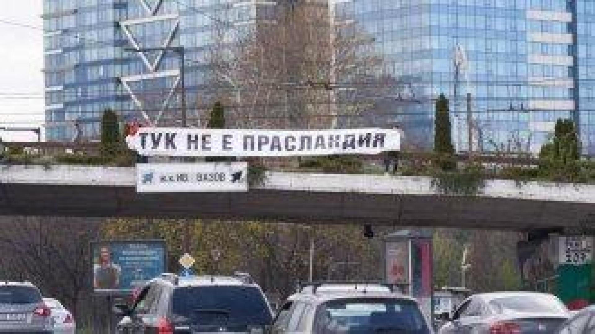 Плакати "Тук не е Прасландия" се появиха в София