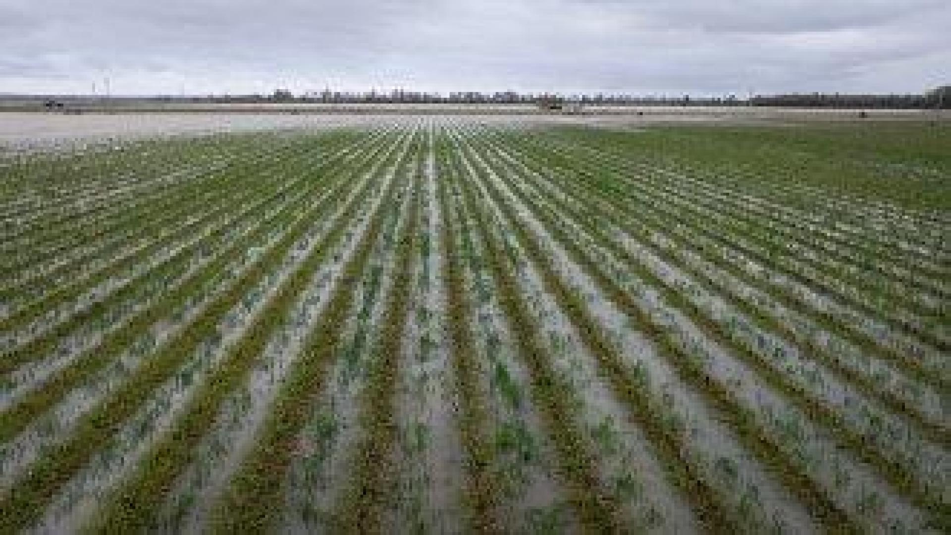 2024 г. в Европа: Рекордна жега, бури и наводнения със щети за 18 млрд. евро