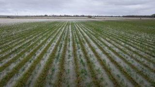 2024 г. в Европа: Рекордна жега, бури и наводнения със щети за 18 млрд. евро