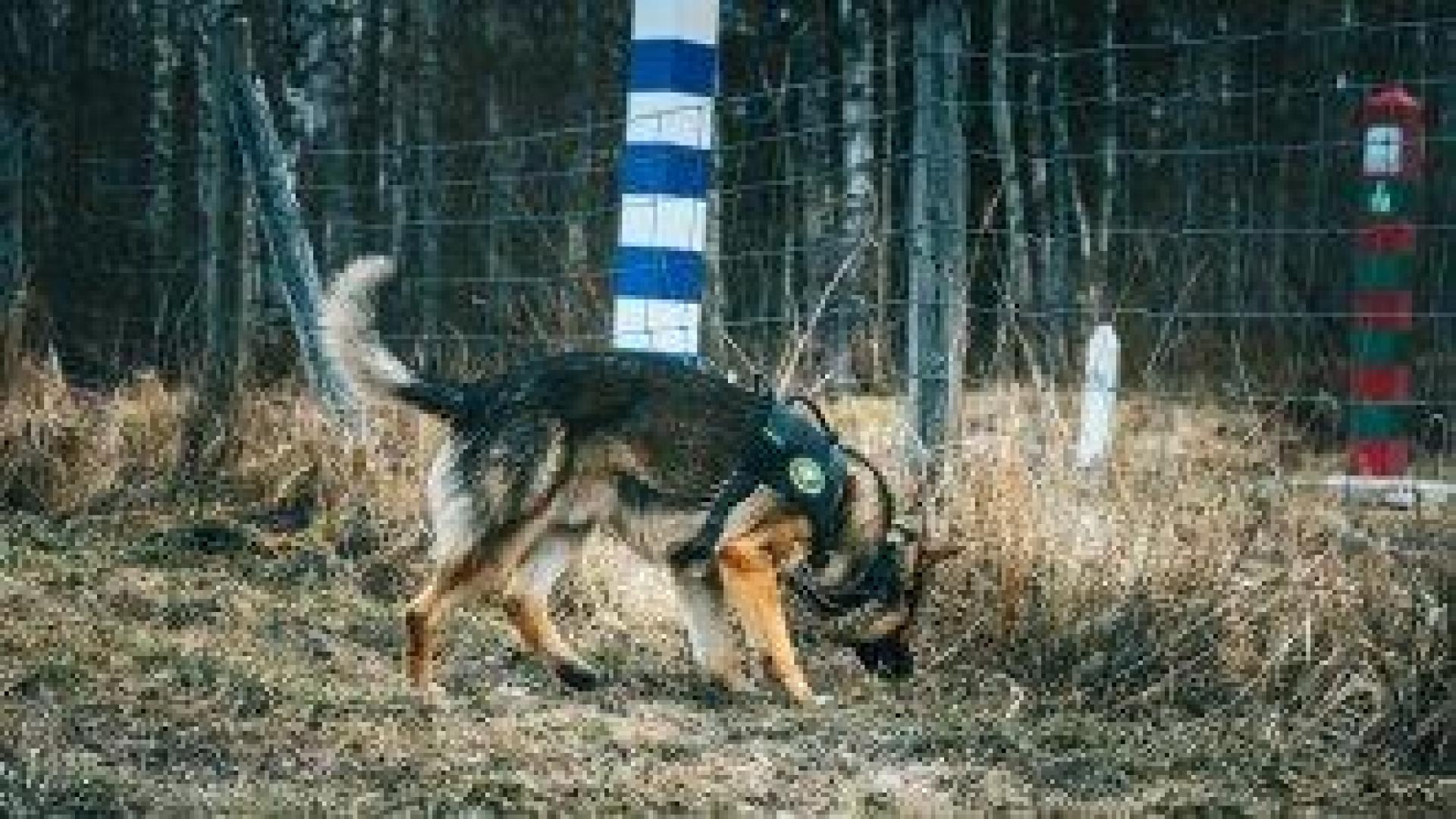 Финландия оставя затворена границата си с Русия до второ нареждане