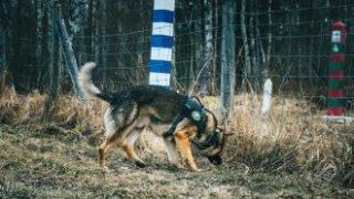 Финландия оставя затворена границата си с Русия до второ нареждане