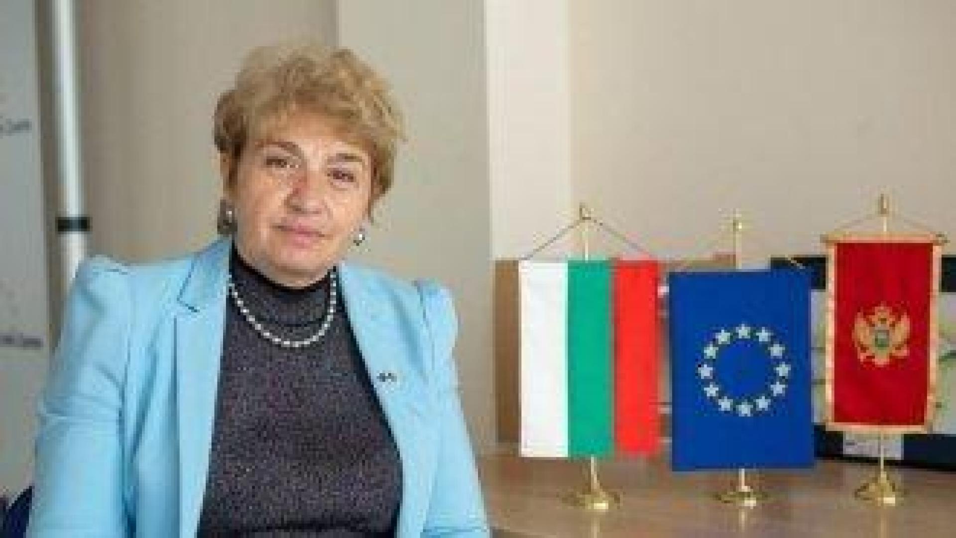 Меглена Плугчиева: Всички лягат и стават с Пеевски, вместо да работят