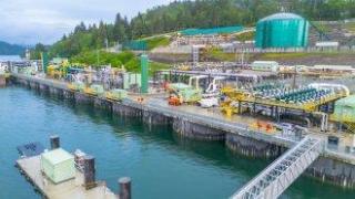 Китай е увеличил с 90% покупките на петрол от Канада и значително е намалил вноса от САЩ