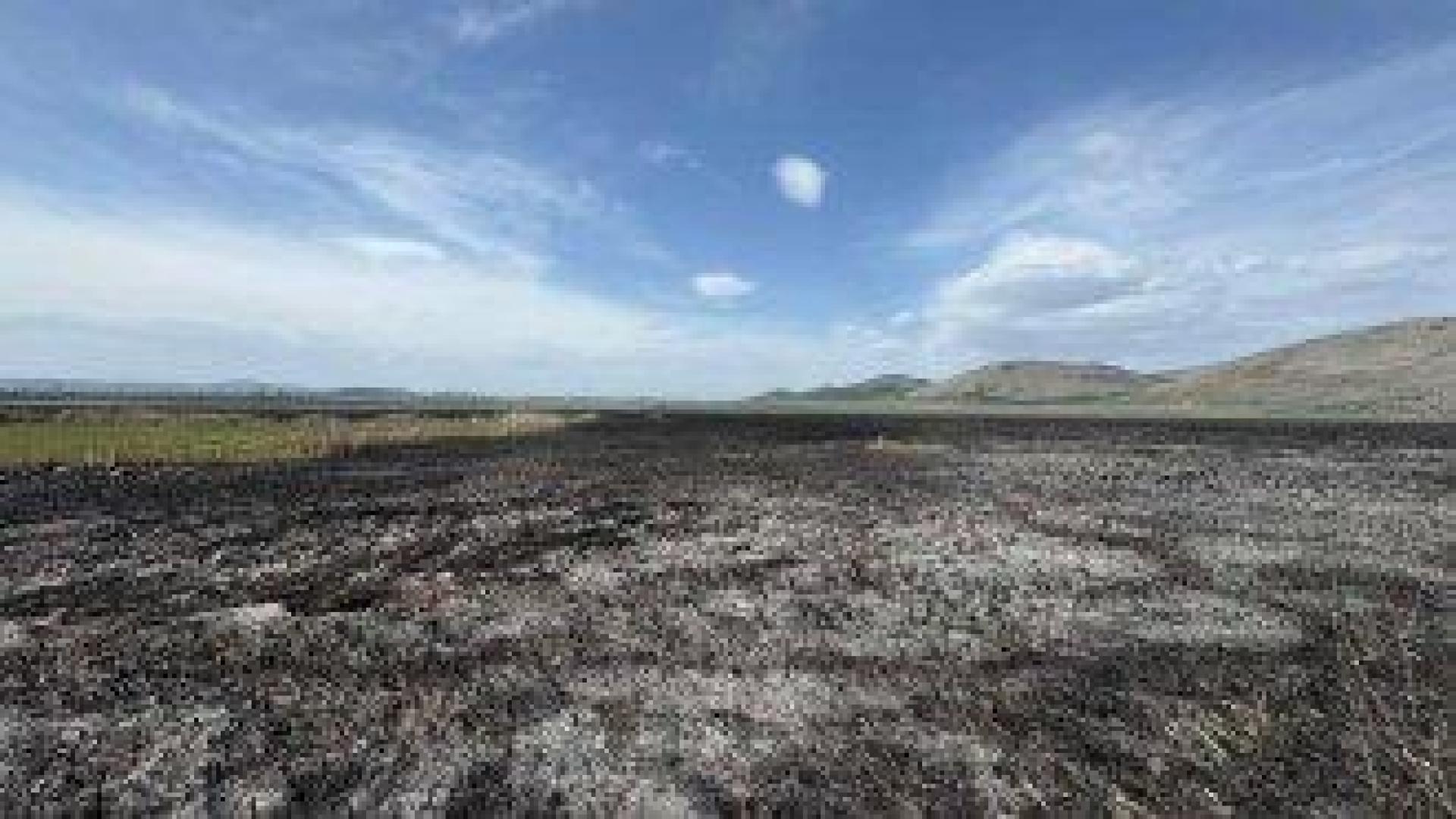 Пожар е унищожил значителна част от растителността и местообитанията в Алдомировското блато