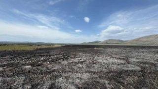 Пожар е унищожил значителна част от растителността и местообитанията в Алдомировското блато