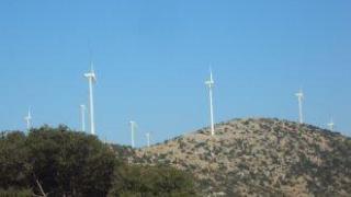 Протест срещу изсичането на 238 дка гора край Варна за ветропарк