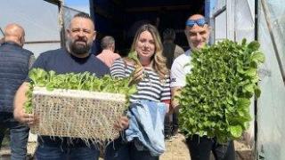 Българско село стана опитно поле за нови сортове тютюн за бездимни цигари