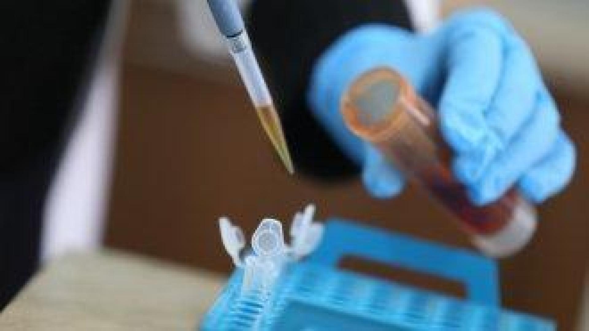 Лекари от Пловдив са арестувани заради източване на здравната каса