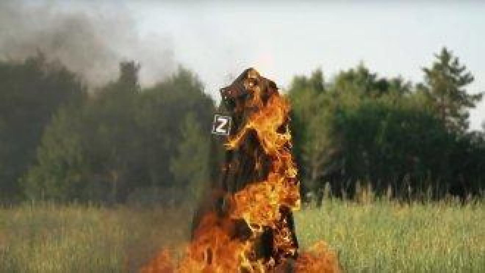 Сбогом на оръжията: Руски дезертьори разказват своите истории