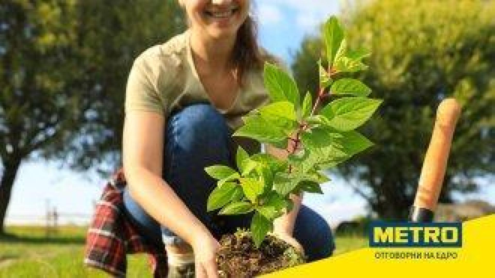 "МЕТРО България" дари 30 000 дървета на Гората.бг в подкрепа на по-зелено бъдеще