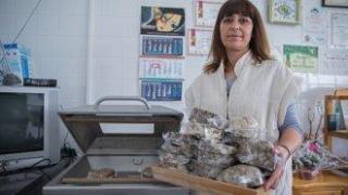 Семейна ферма от Карловско съживява деликатеси от стари български породи