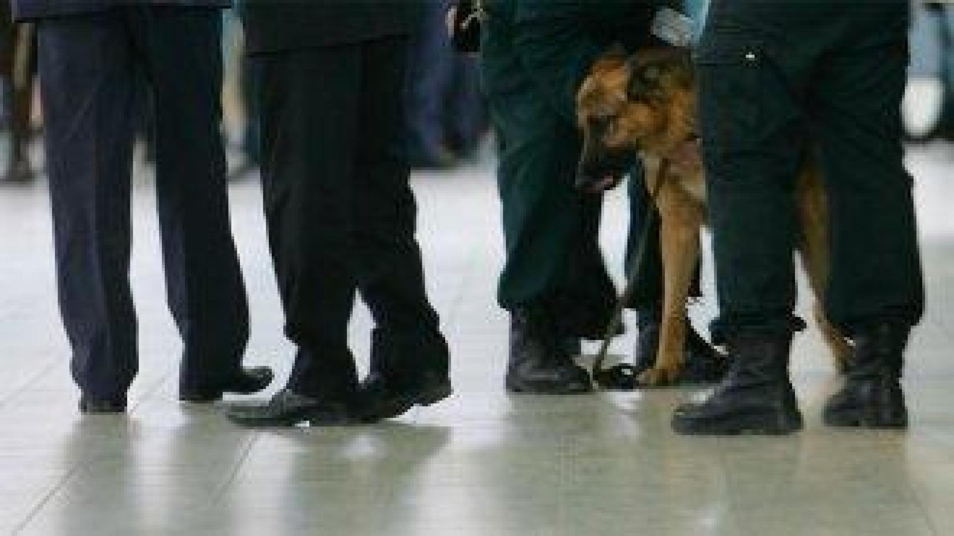 Сръбската армия продава на символична цена армейски кучета