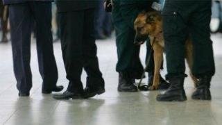 Сръбската армия продава на символична цена армейски кучета