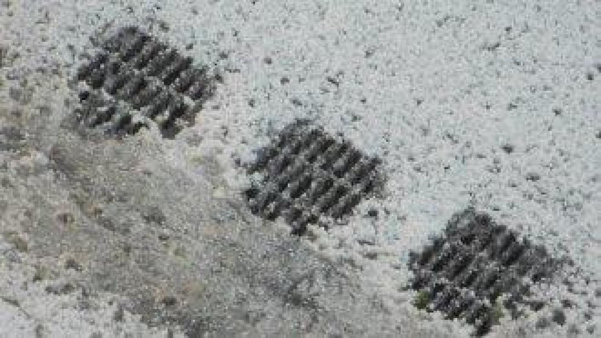 Частично бедствено положение в три села в Новозагорско след градушка