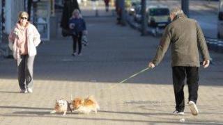 Засилени проверки и глоби до 100 лв. за кучета без повод в София
