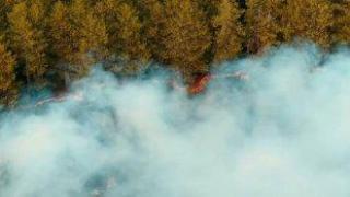 Битката с огъня край Сунгурларе продължава четвърти ден, пожарът в Пирин с три нови огнища