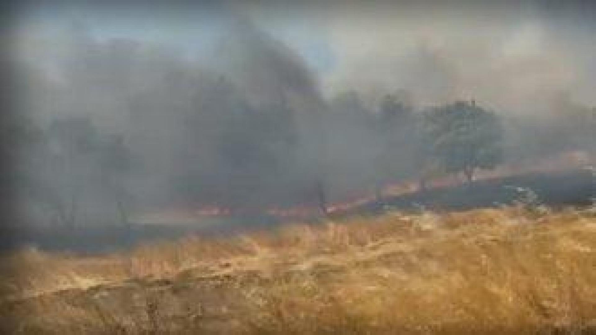 Голям пожар избухна край Бургас, разпоредена е евакуация