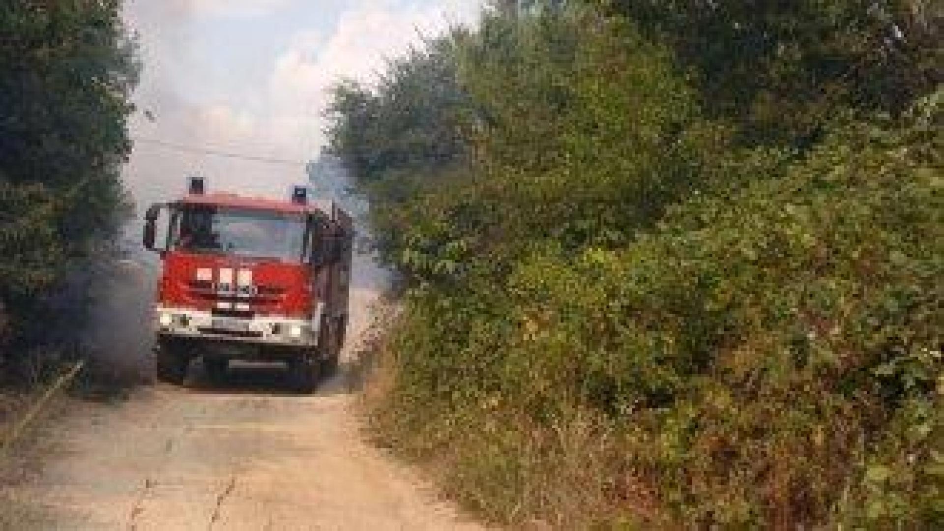 Голям пожар бушува край Асеновград