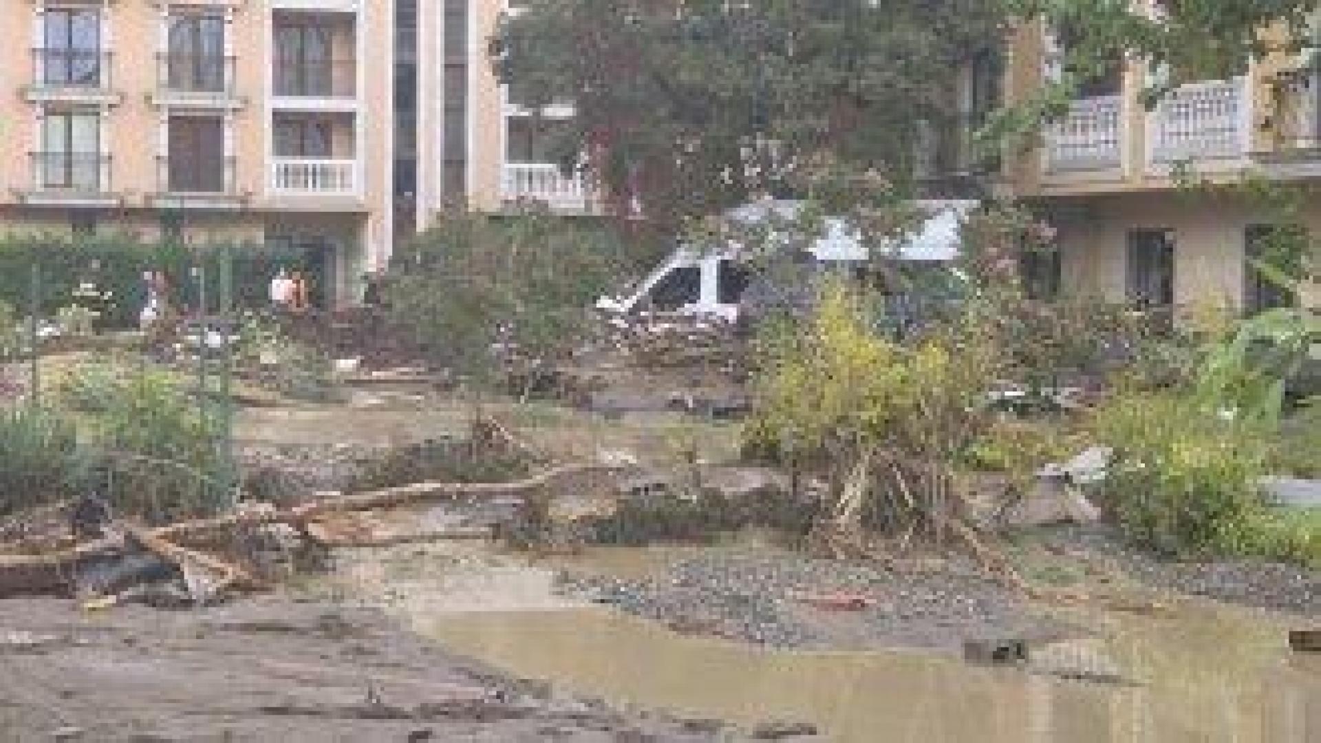 "Елените" в прокурорската сянка