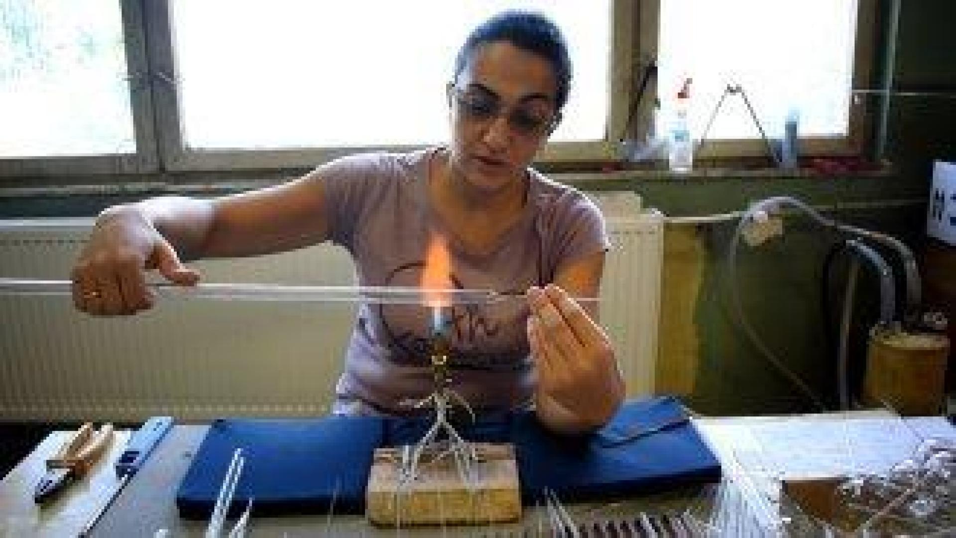 Как Пловдив доказа, че социална кауза може да е печеливша