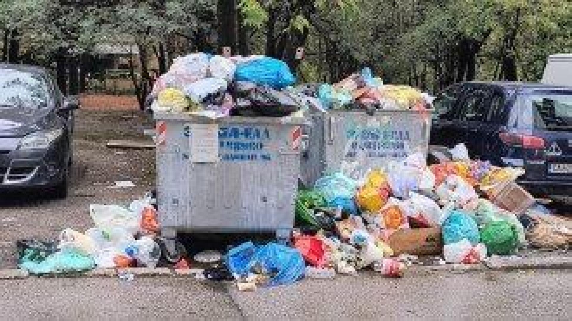 Още камиони и доброволци се включват в чистенето на "Люлин" и "Красно село"