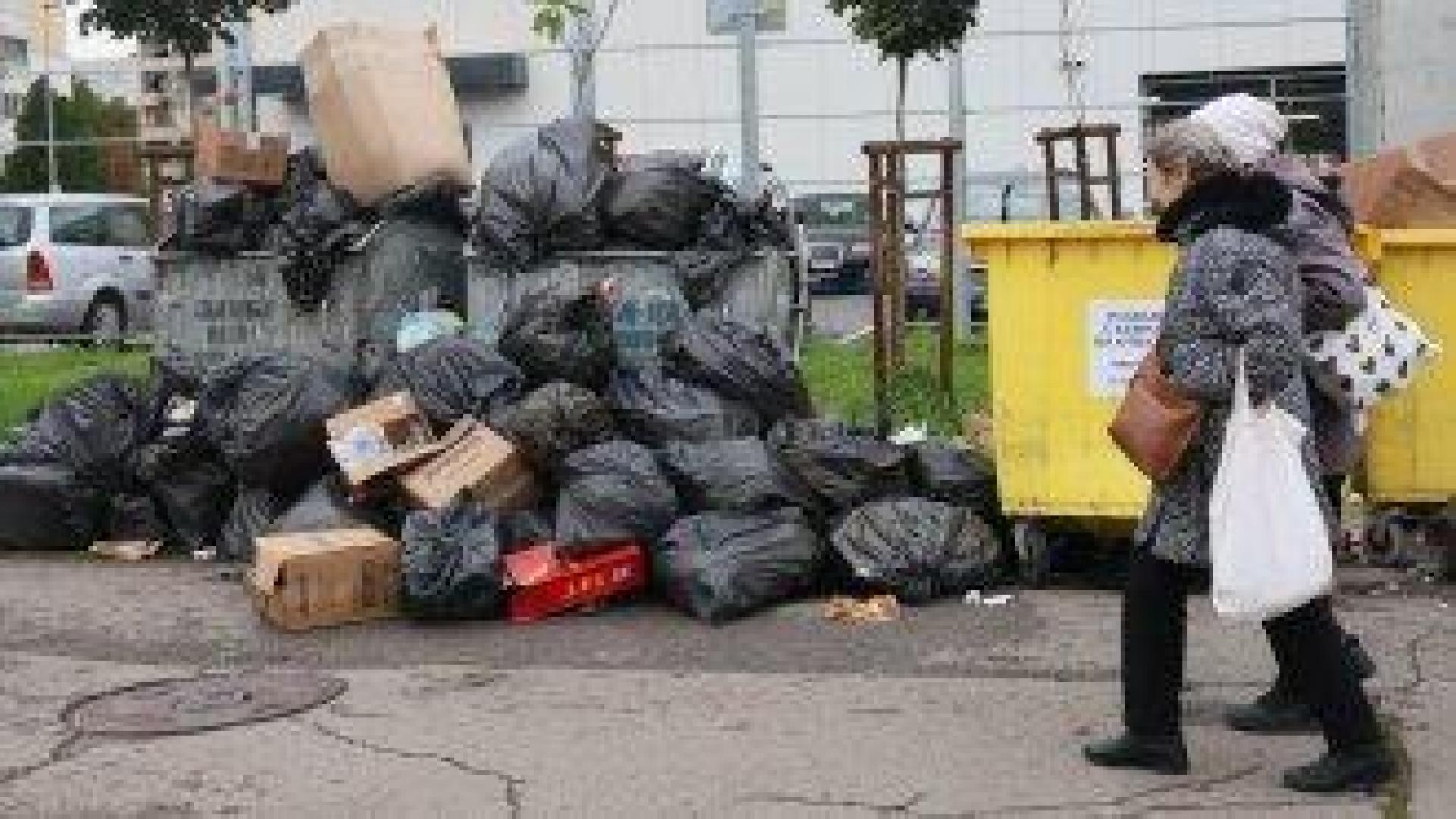 Гражданите срещу боклука: вълна от доброволци в помощ на София