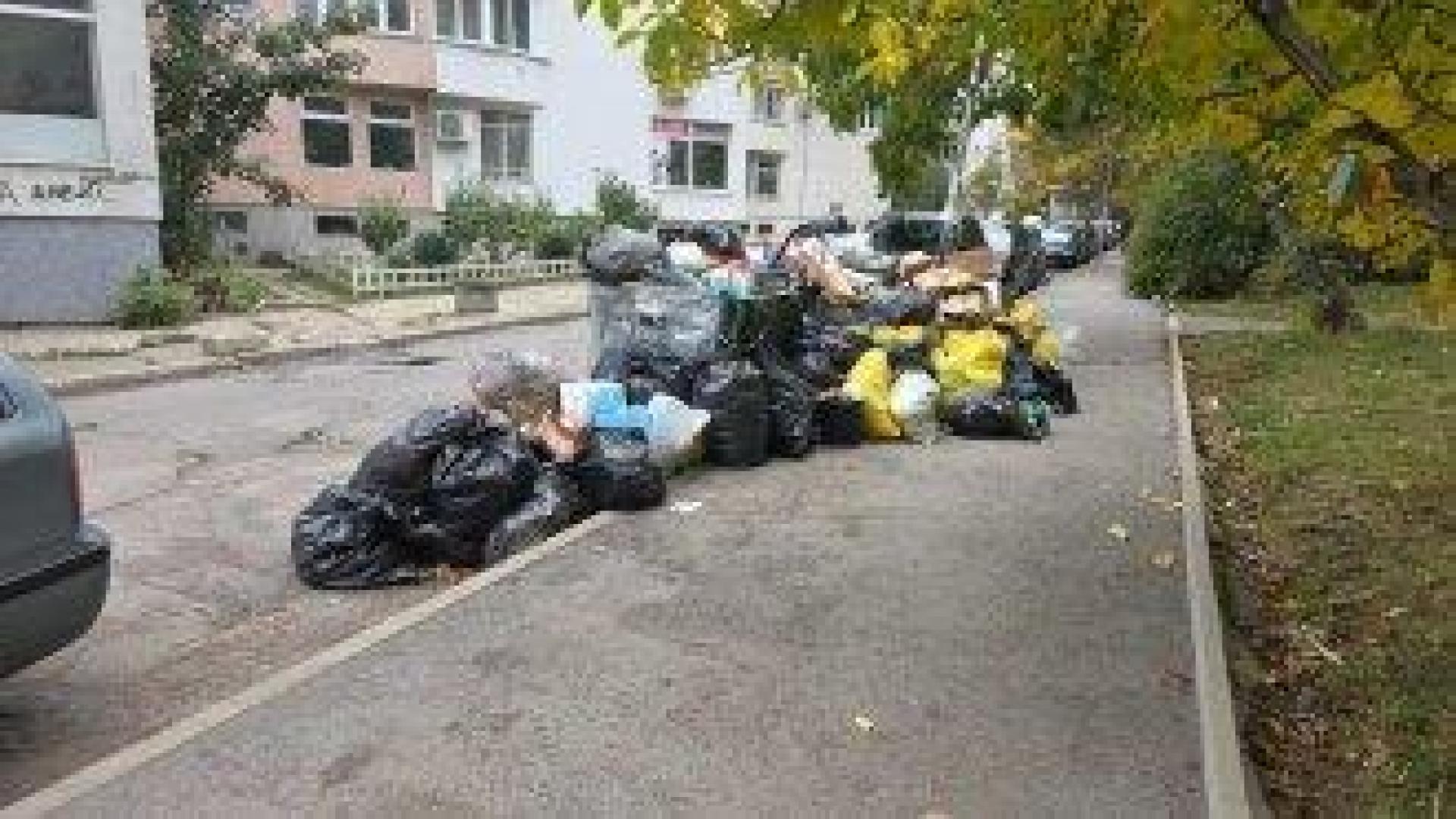 Общината ще пробва да чисти нормално "Люлин" и "Красно село"