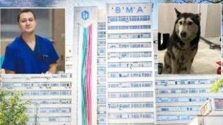 ВМА отстрани лекаря от работа до изясняване на случая с прегазеното куче