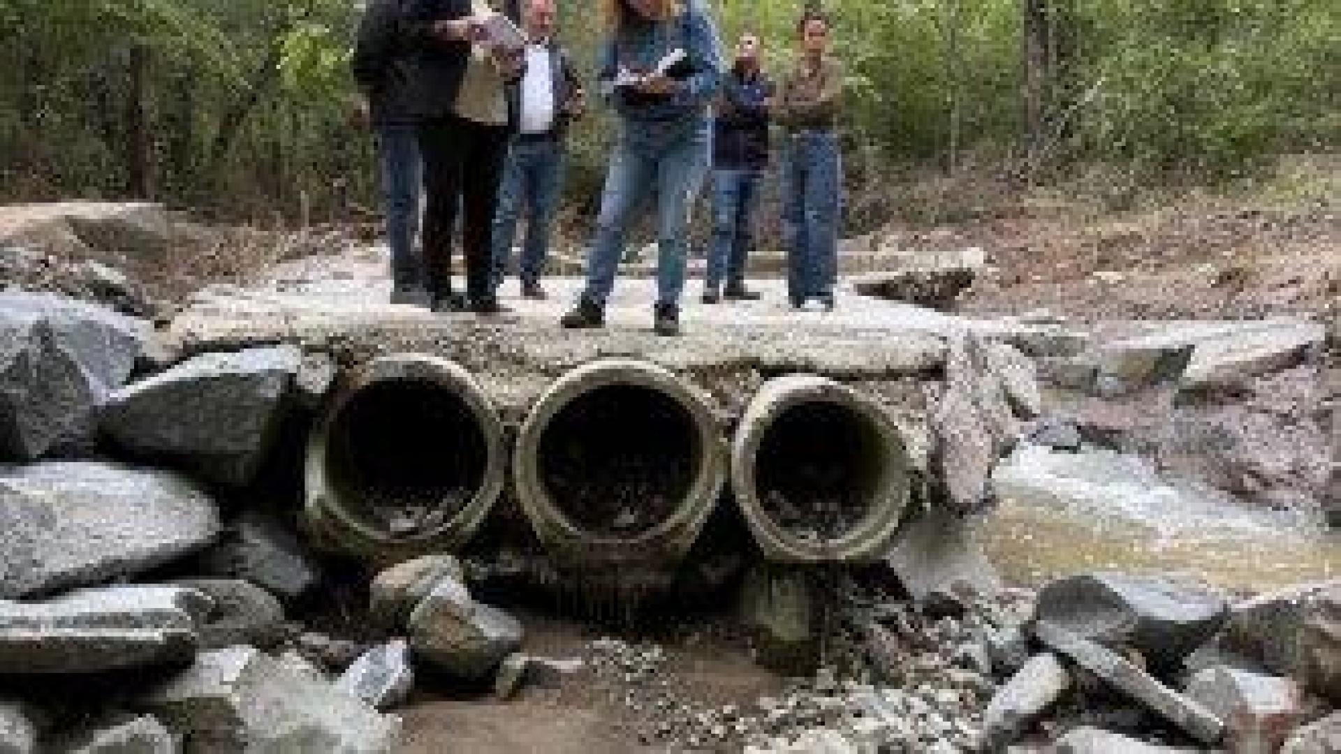 Най-застрашени от трагедии като в "Елените" са Св. Влас, Лозенец, Царево, Слънчев бряг и Варна