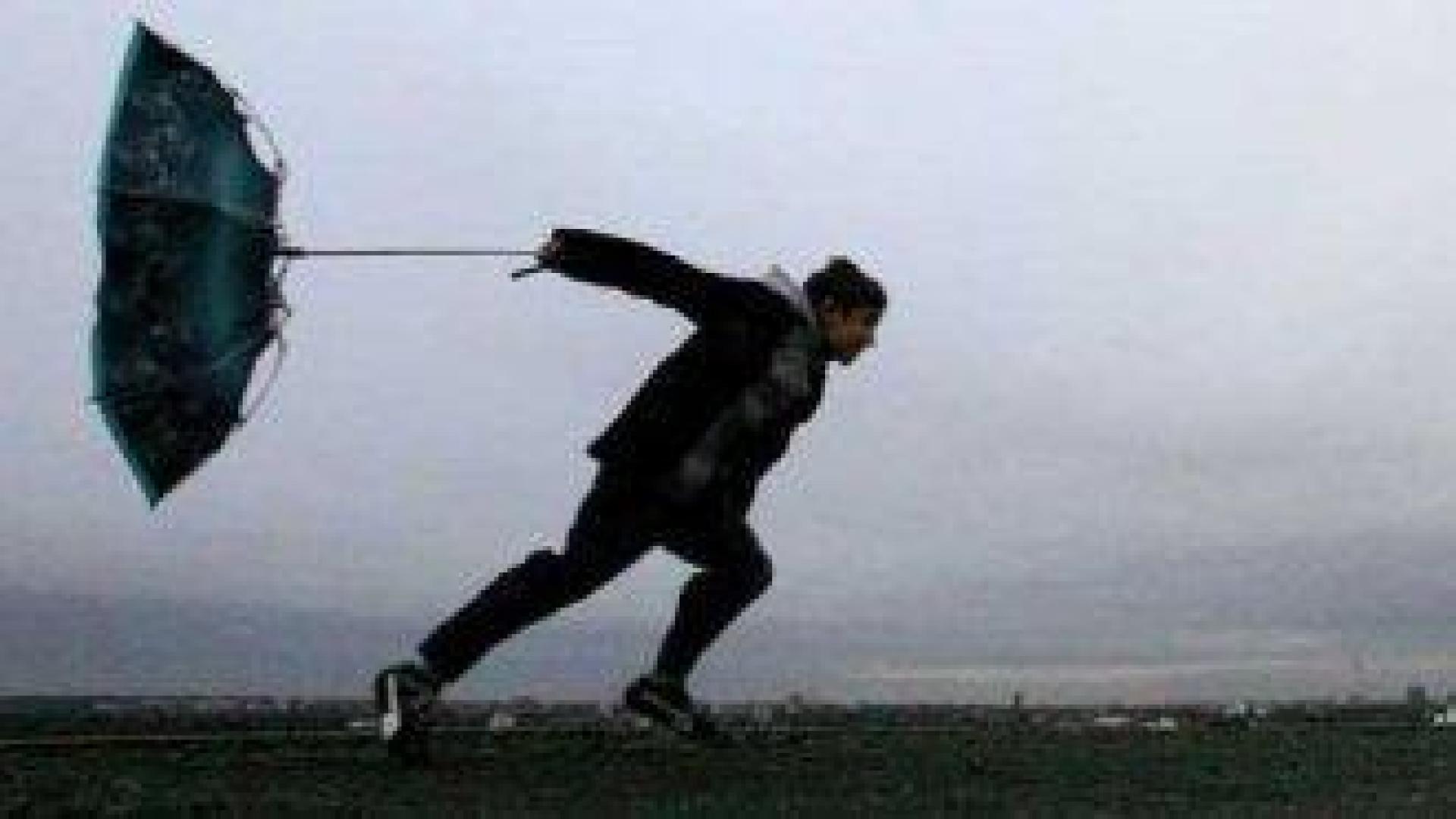 Жълт код за силен вятър в 17 области на страната