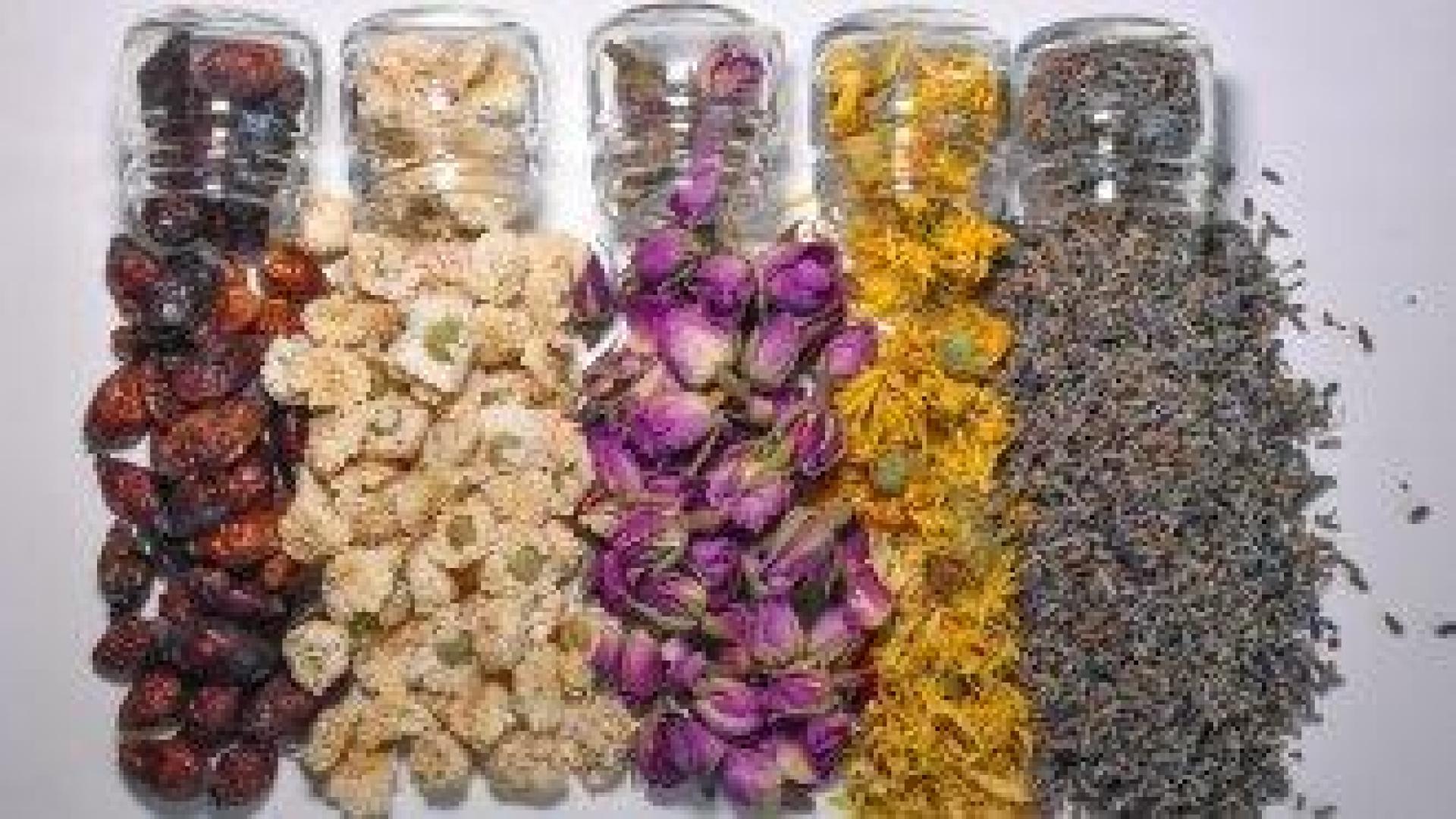 Бизнес с мисъл и желание носи печалби от другия край на света в с. Ягода