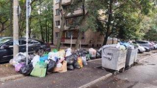 Кризисното чистене на "Изгрев", "Слатина" и "Подуяне" тръгва с 5 боклукчийски камиона