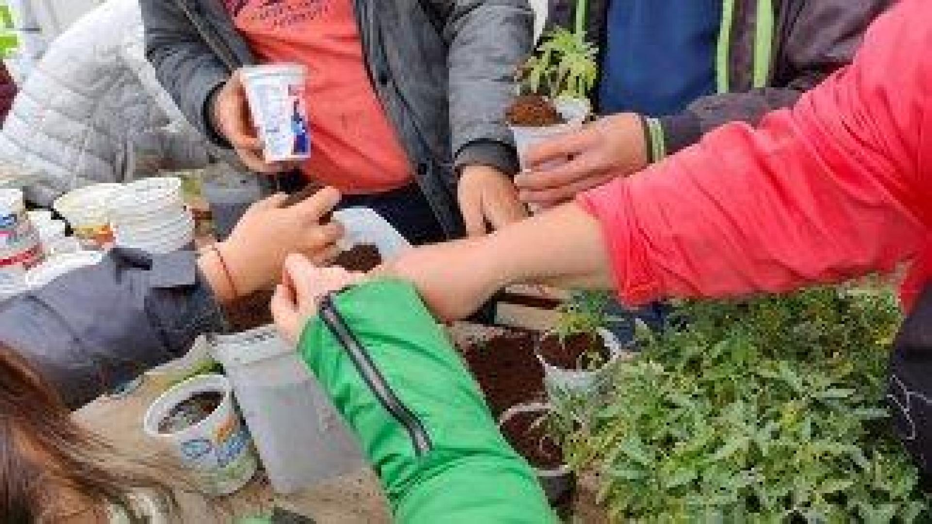 "Градина Вдъхновение" - където хората с увреждания израстват с плодовете на техния труд