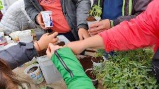 "Градина Вдъхновение" - където хората с увреждания израстват с плодовете на техния труд