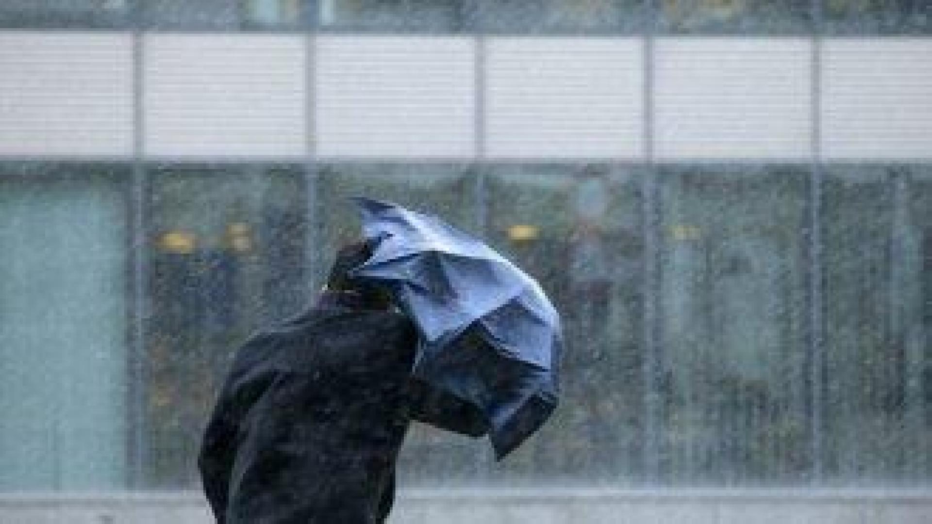 Жълт код за силен вятър е обявен в 16 области