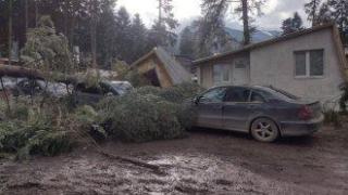 Ураганен вятър събори дървета в Боровец, кметът на Самоков активира BG Alert
