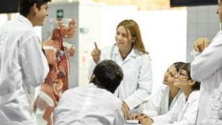 Кои специалности предпочитат младите лекари в Европа