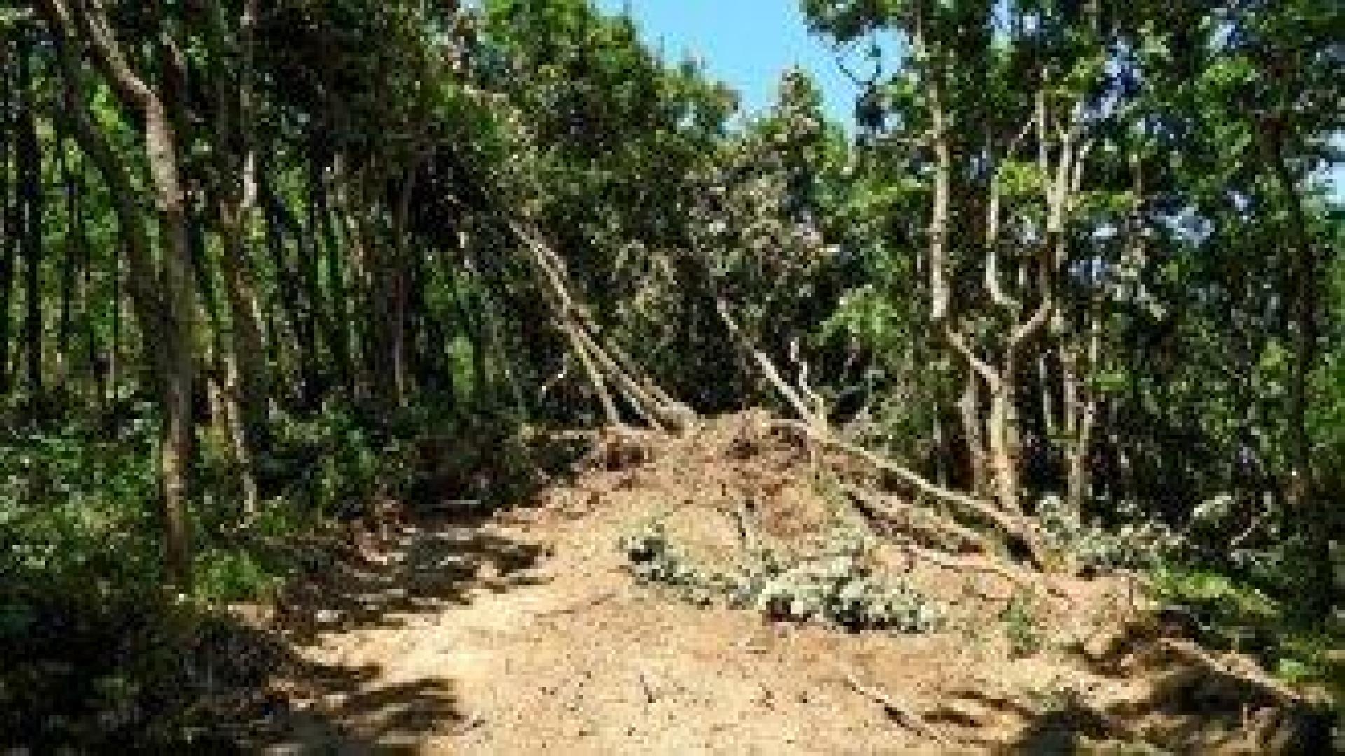 Злоупотреба с 500 000 евро за селските райони в Унгария разкри ОЛАФ