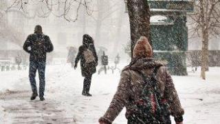 За един ден сняг в София – 140 души в "Пирогов"