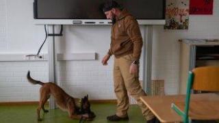 МВР вече има куче, което може да надушва пари