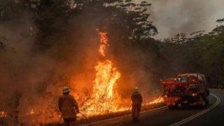 Горски пожари изпепелиха домове и оставиха десетки хиляди без ток в Австралия