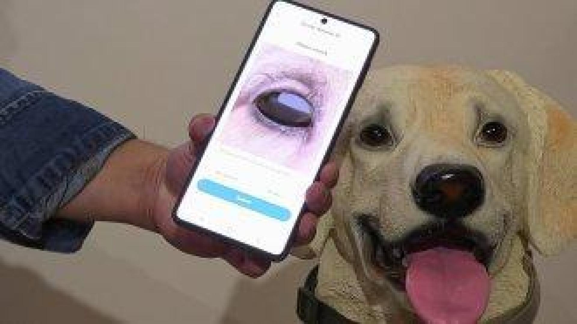 Изкуственият интелект е готов да стане активен помощник в ежедневието