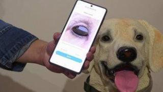 Изкуственият интелект е готов да стане активен помощник в ежедневието